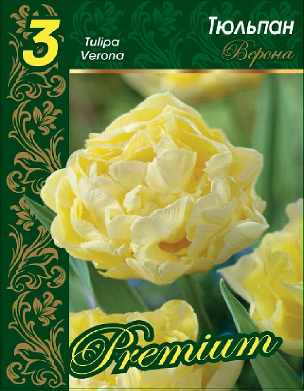 Тюльпан Верона 1 уп. (3 шт.) 